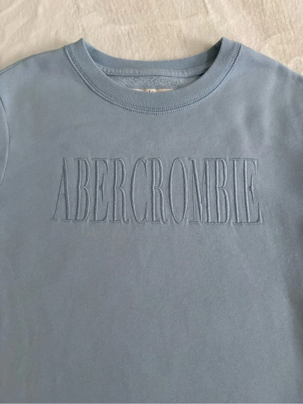 Abercrombie Kids Light Blue Embroidered Logo Crewneck Sweatshirt